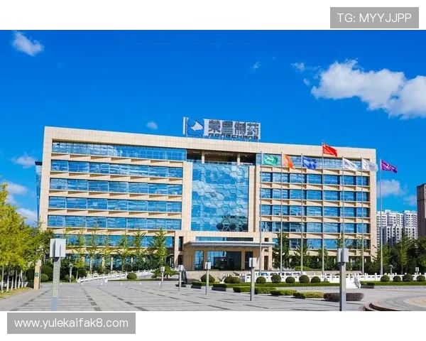 凯发集团网页版登录不了的常见原因及应对策略