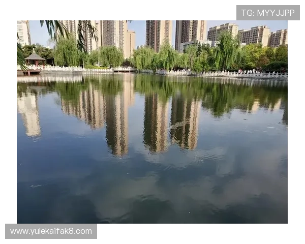 凯发娱乐滚球优化用户界面设计，提升操作便捷性和用户满意度