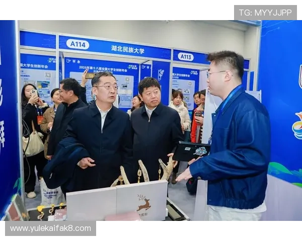 凯发登录首页入口：登录入口常见问题及应对策略